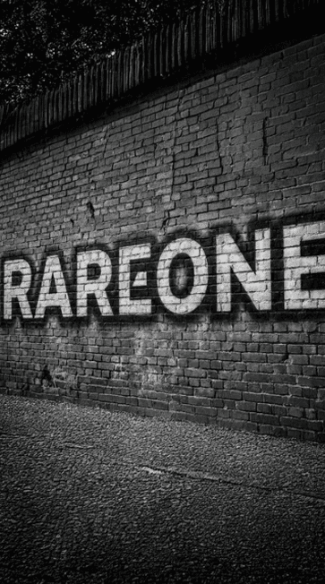 RareOne Bricks